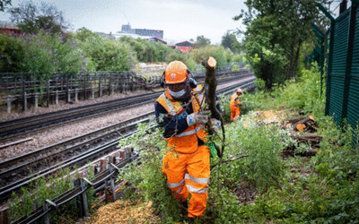 rail adhesion msq picture